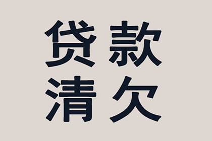 泗洪清债公司:处理共同借款人欠款不还的问题
